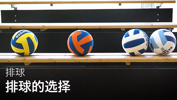 06.排球的选择