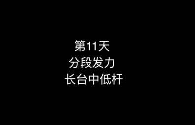 14_第11天 分段发力1